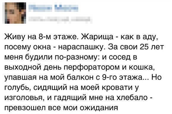 Веселые картинки
