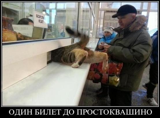 Весёлые картинки