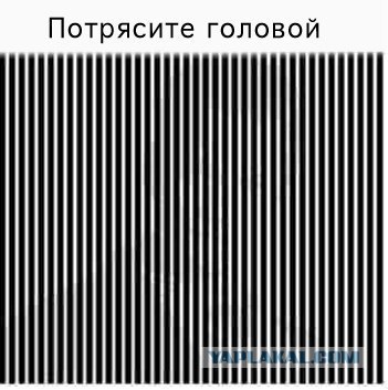 Оптические иллюзии