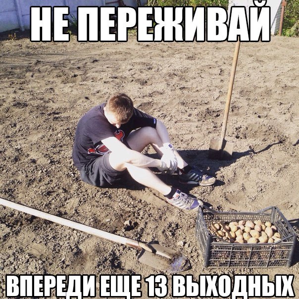 Немного картинок после праздника