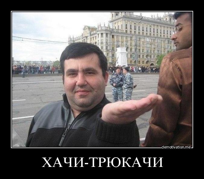 Хачи прикол. Мемы с хачиками