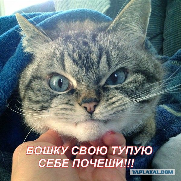 Убери руки, человек!