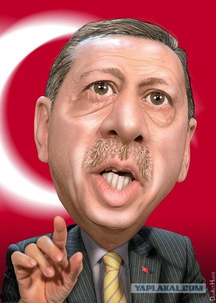 Эрдоган выступил с заявлением по поводу сбитого Су