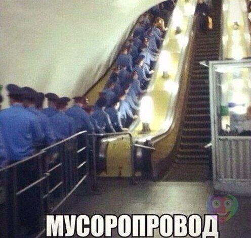 Приколы из сети