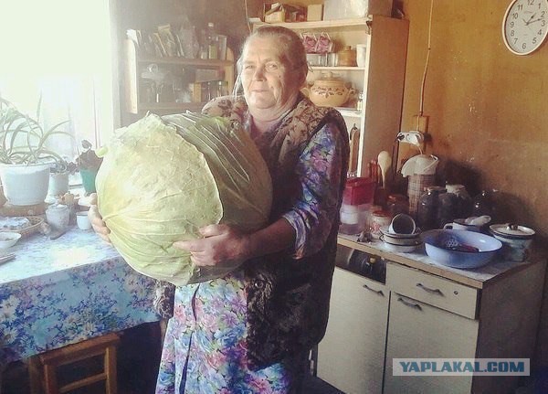 Разные картинки из сети