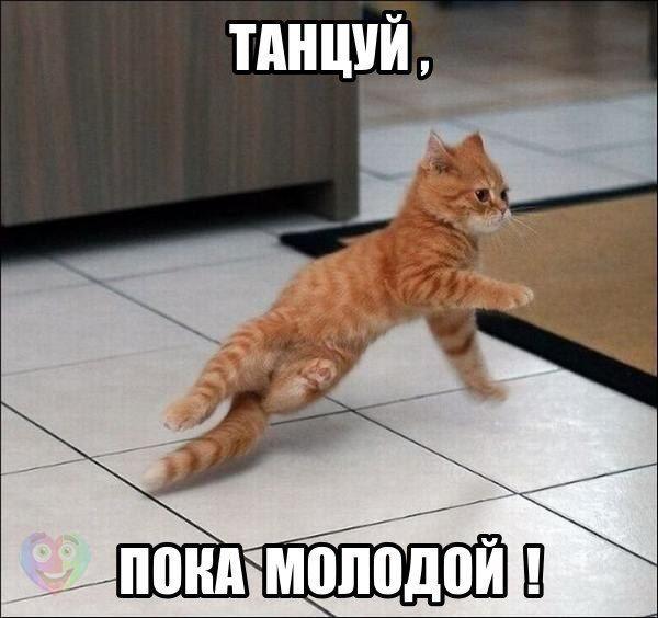 Картинки и демотиваторы