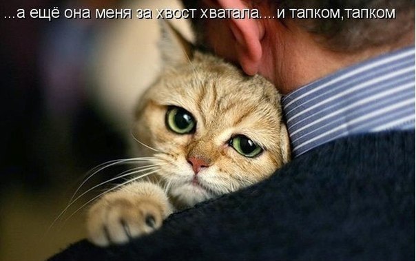 Картинки и демотиваторы