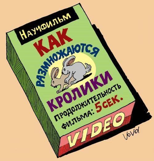 Я все понял, мужики!