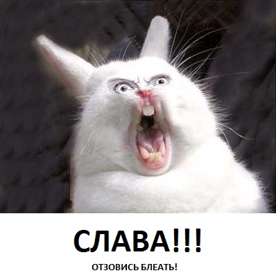 У меня грустные новости для соЯПовца. Слава Новиков тут есть?