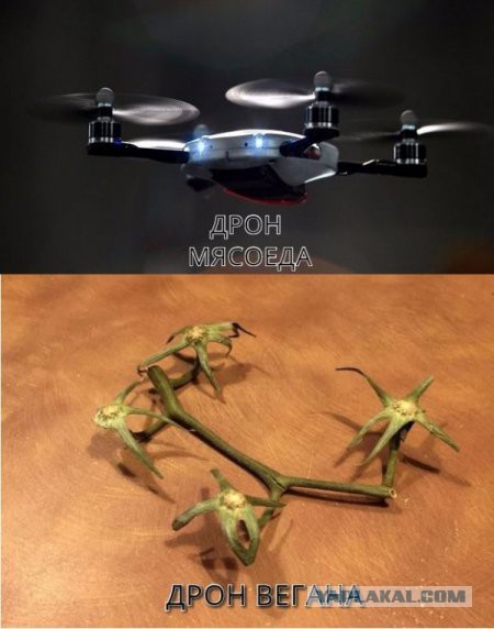 Веселые картинки