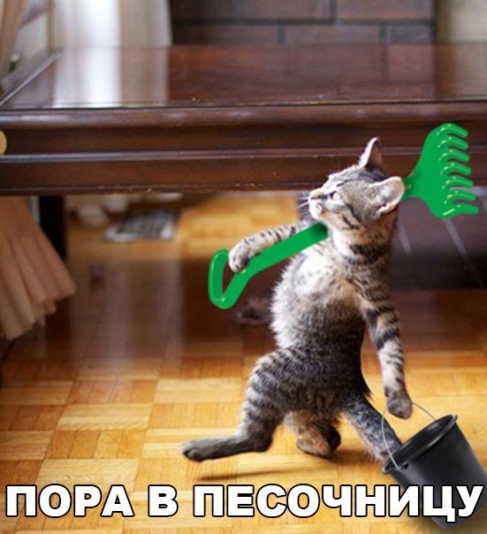 Мохнатые беспредельщики