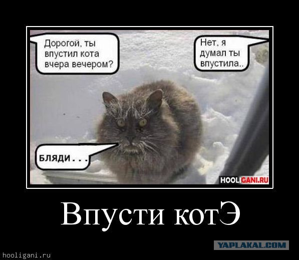 Сообщество Steam :: Hidden Paws