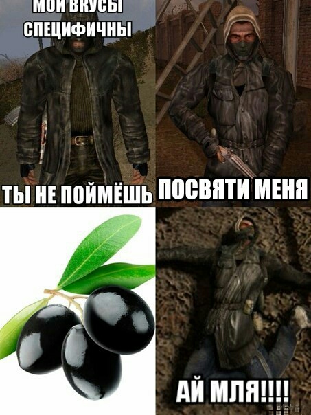 Фанатам игры С.Т.А.Л.К.Е.Р посвящается