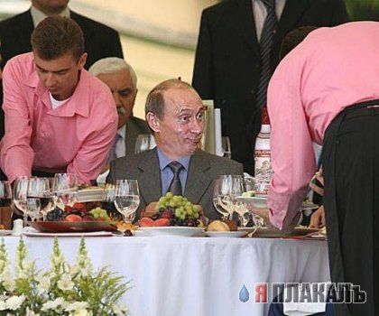 ПУТИН. Все про Путина, ВВП, Владимир Владимирович