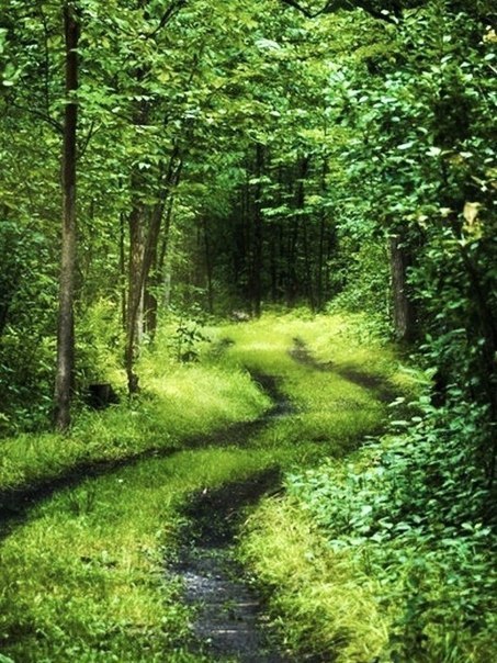 Картинки для отдыха глаз