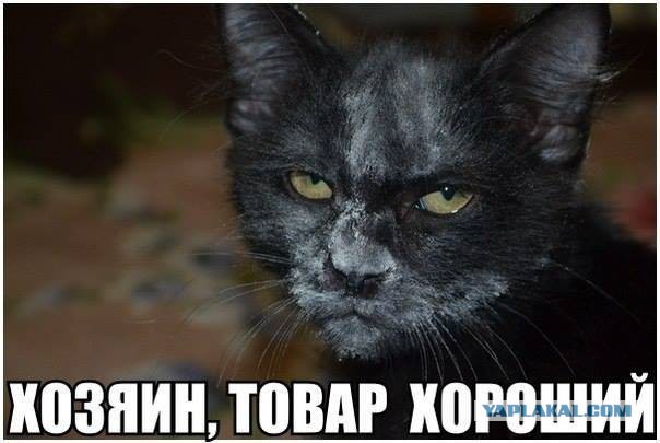 25 устрашающих фактов о кокаине - одном из самых страшных запрещённых веществ