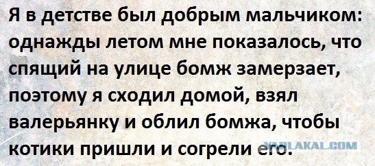 Порция картинок из сети