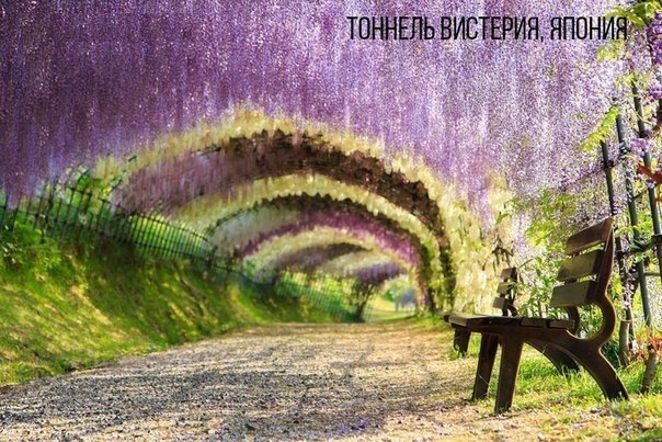 Порция картинок