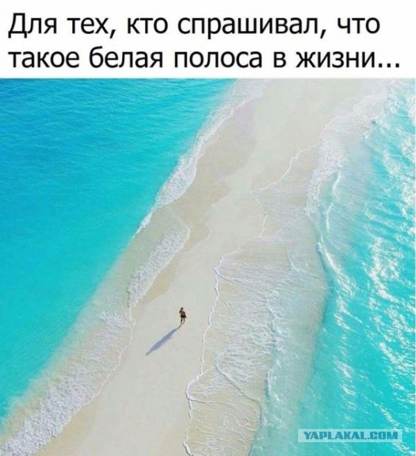 Картинки, интересные и веселые