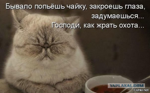 Небольшая подборка забавных картинок