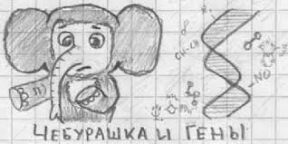 Простейшие вещи, которые мы путаем еще со школы.