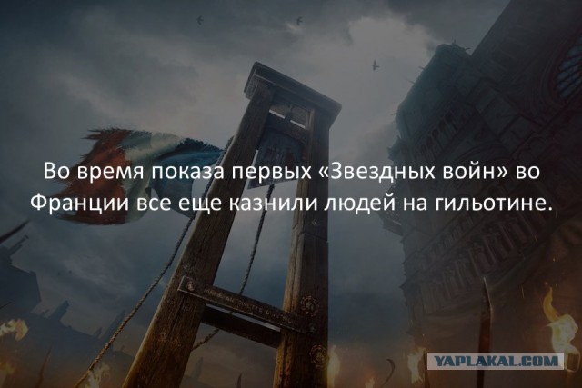40 интересных фактов в картинках.