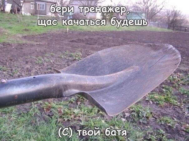 Подборка разного из сети