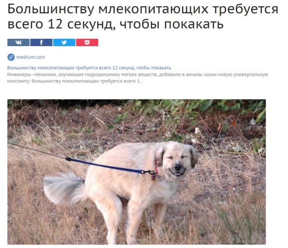 Забавные комментарии, шутки и фразы из этих ваших интернетов