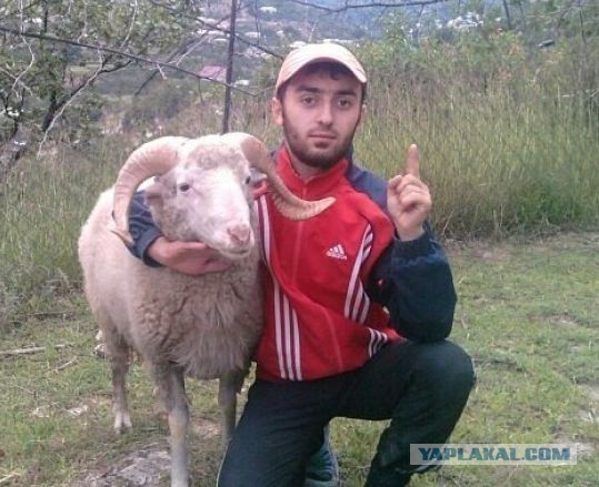 Массовое избиение чеченцев дагестанцами!