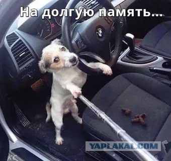 Кто-то не пожалел краски и наказал кривого "паркуюсь где хочу"