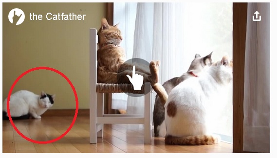 Крёстный Котец