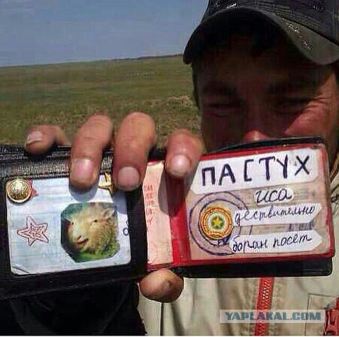 Что вы знаете о понтах?