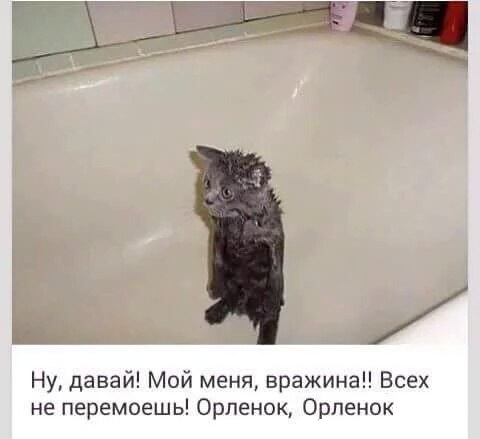 Просто картинки