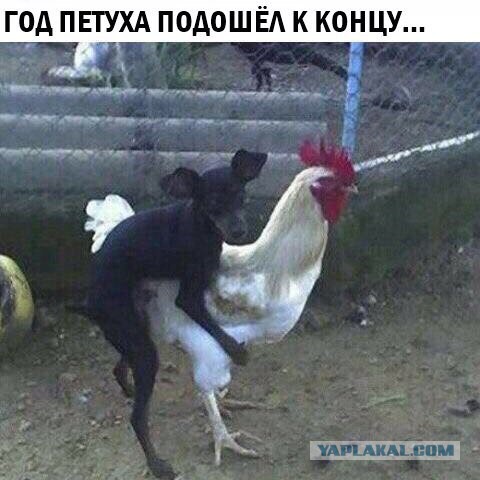 А вот и деградация подтянулась! Ныряем в омут с головой!