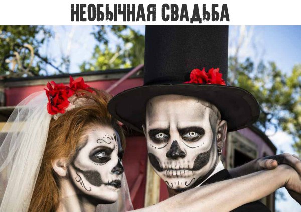 Нестандартный юмор