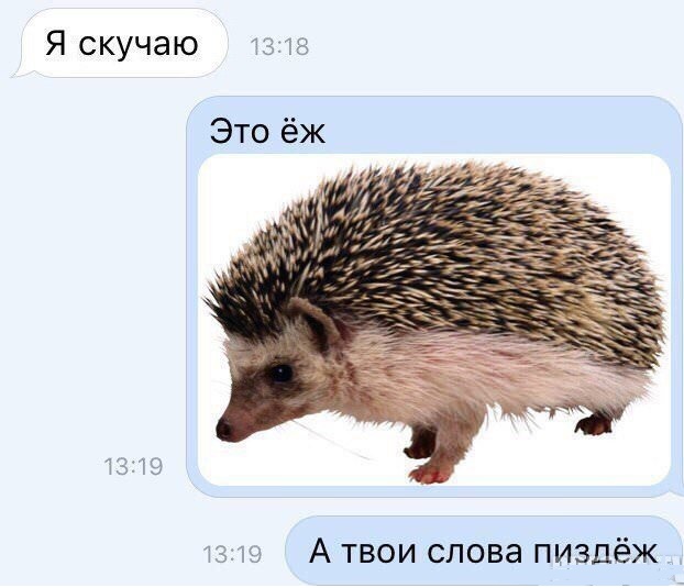 Смешные комментарии из социальных сетей 07.03.2018