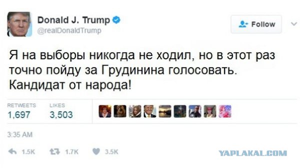 Подборка забавных картинок