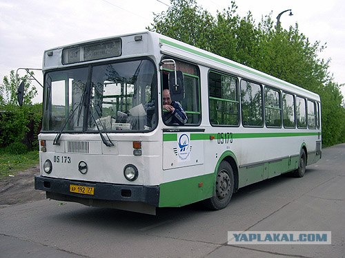 Найди свой автомобиль по знаку Зодиака