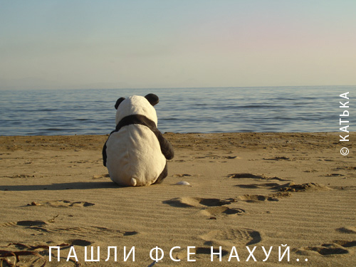Пандовторник!