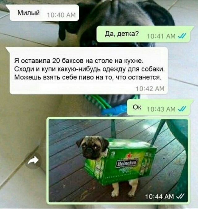 Не очень адекватный юмор
