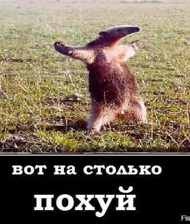 Выборы на Украине: Зеленский лидирует