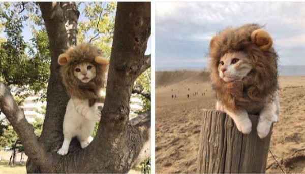 Подборка смешных, не очень и просто красивых фотографий