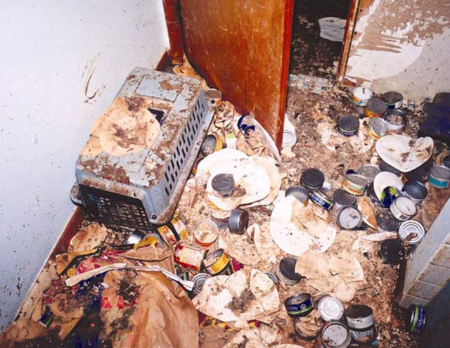 Сдам квартиру.