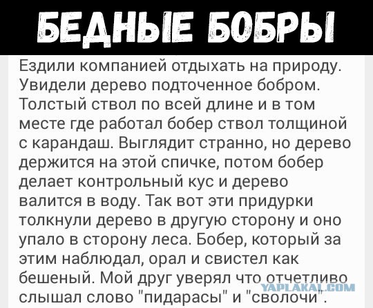 Откровение плохого папы