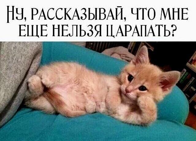 Чуток картинок 29.05.20