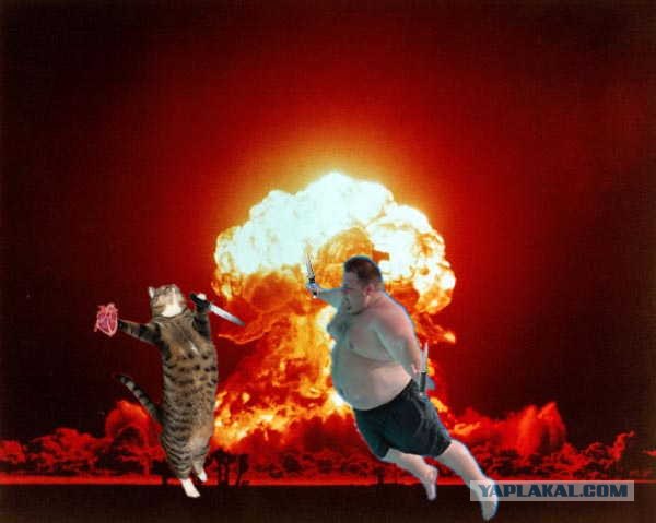 Доброе утро