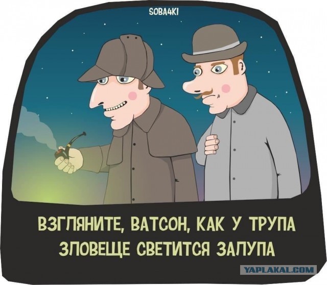 Картинки с надписями и анекдоты