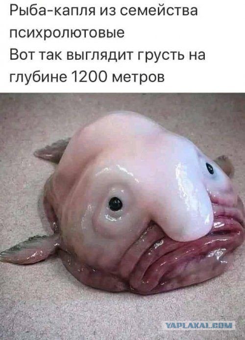 Прикольные и просто красивые картинки 23.12.2020