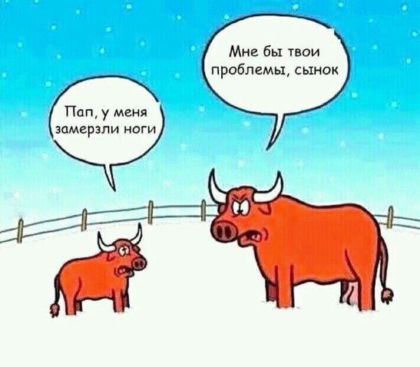Декабрьский пикчемёт