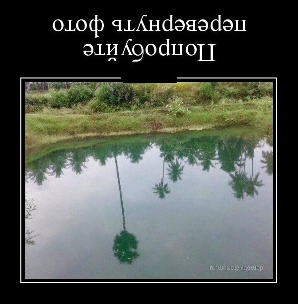 Годные картинки и не очень...